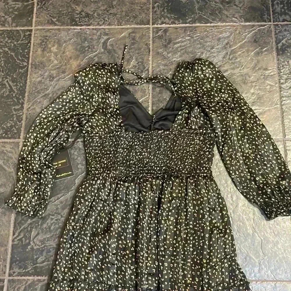 Japna dress, size XS. Sheer material over black lining. NWT. - Picture 4 of 12